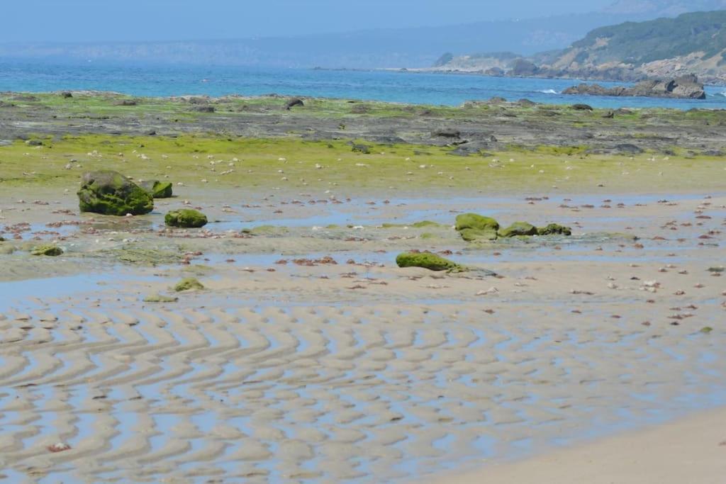 塔里法Casita Del Mar A Pie De Playa公寓 外观 照片